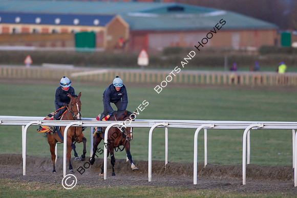 Newmarket Gallops