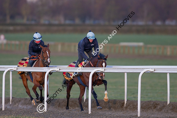 Newmarket Gallops