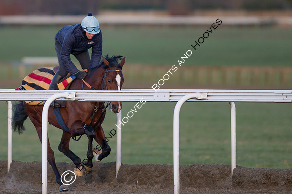 Newmarket Gallops