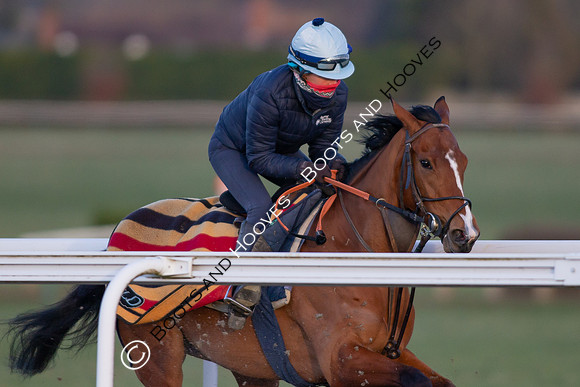 Newmarket Gallops