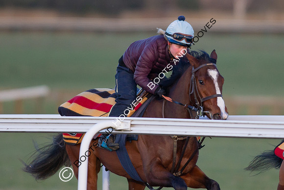 Newmarket Gallops