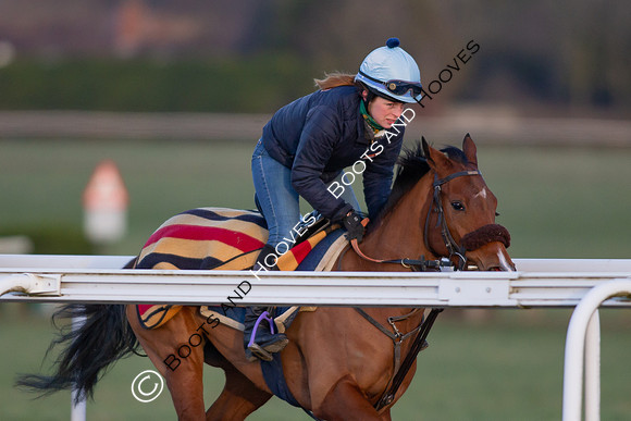 Newmarket Gallops