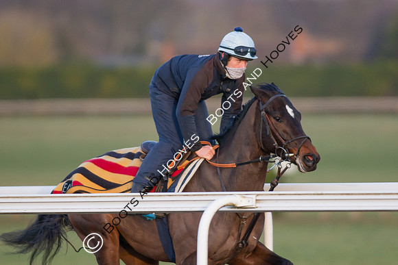 Newmarket Gallops