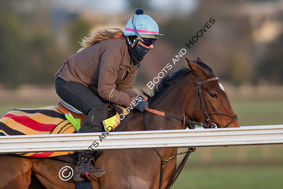 Newmarket Gallops