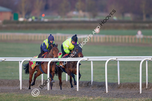 Newmarket Gallops