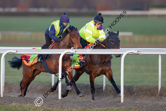 Newmarket Gallops