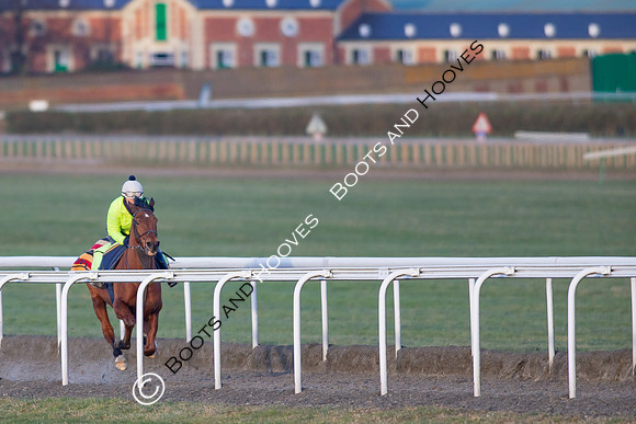 Newmarket Gallops
