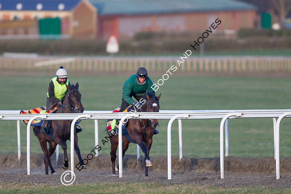 Newmarket Gallops