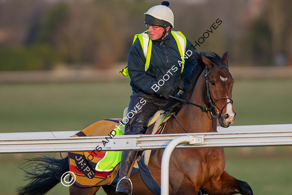 Newmarket Gallops