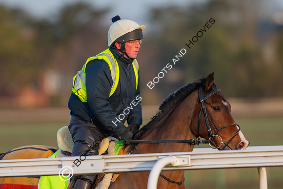 Newmarket Gallops