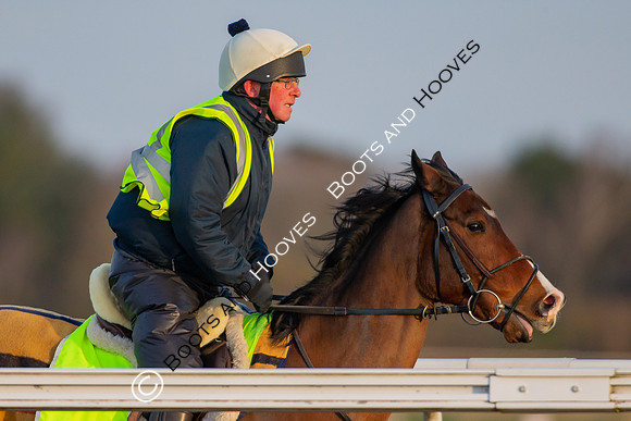 Newmarket Gallops