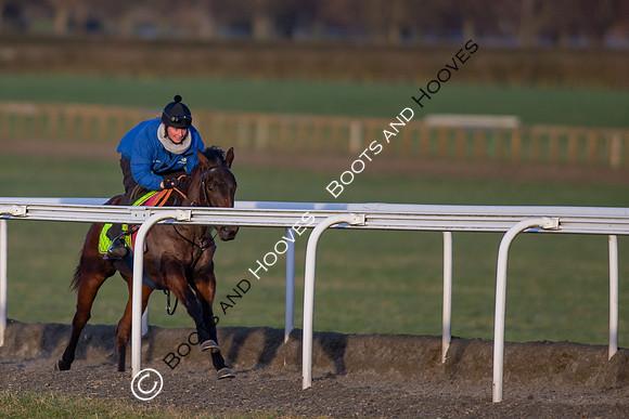 Newmarket Gallops