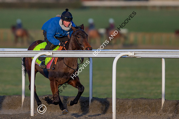 Newmarket Gallops