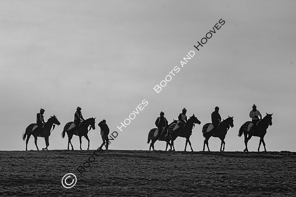 Newmarket Gallops