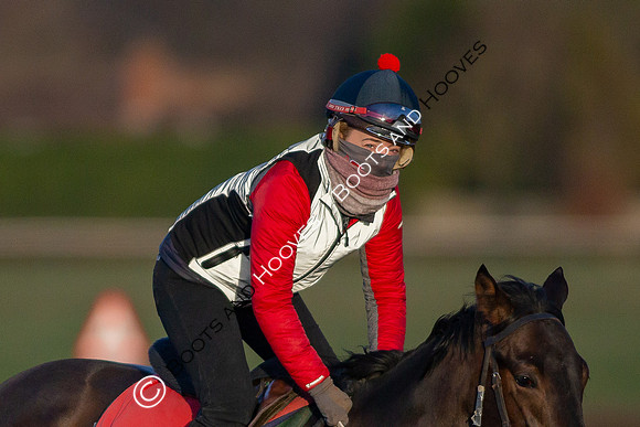 Newmarket Gallops