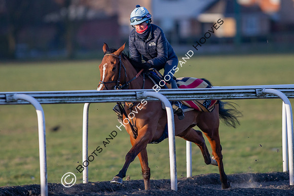 Newmarket Gallops