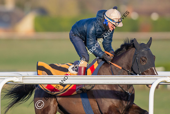Newmarket Gallops