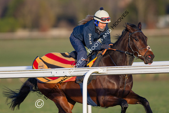 Newmarket Gallops