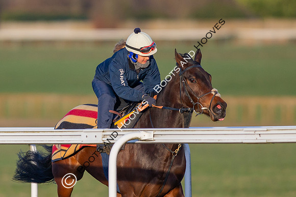 Newmarket Gallops