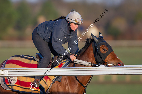 Newmarket Gallops