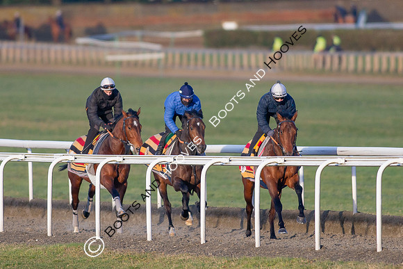 Newmarket Gallops
