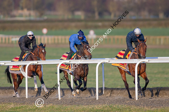 Newmarket Gallops