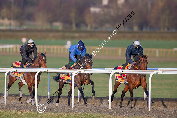 Newmarket Gallops