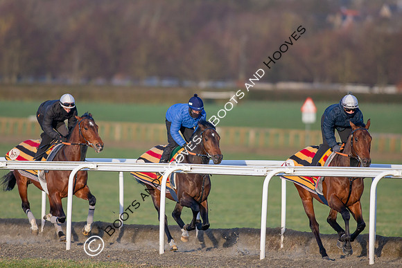 Newmarket Gallops
