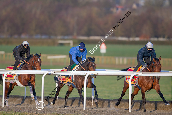 Newmarket Gallops