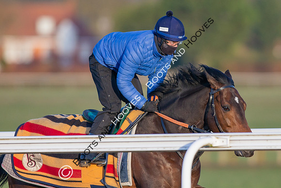 Newmarket Gallops