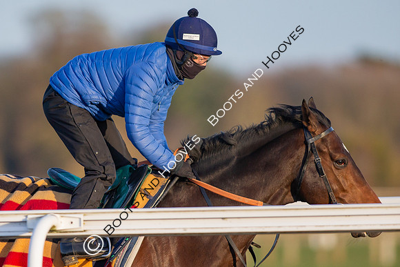 Newmarket Gallops