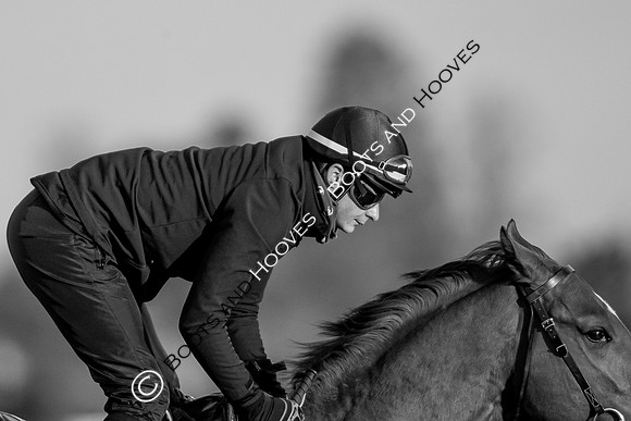 Newmarket Gallops