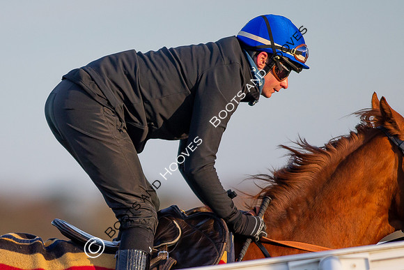 Newmarket Gallops
