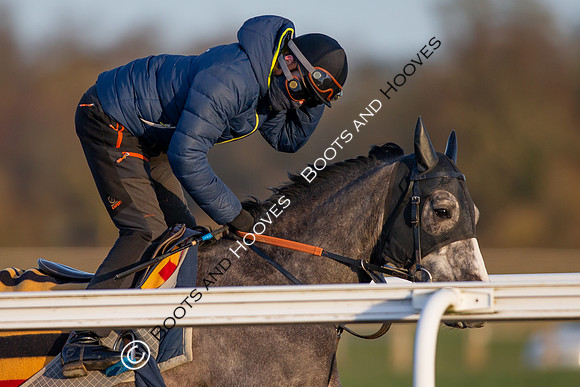 Newmarket Gallops
