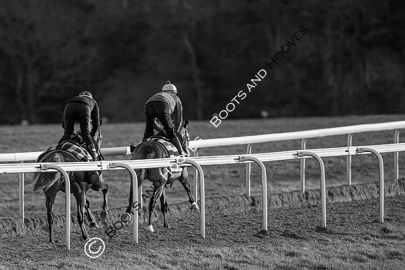 Newmarket Gallops