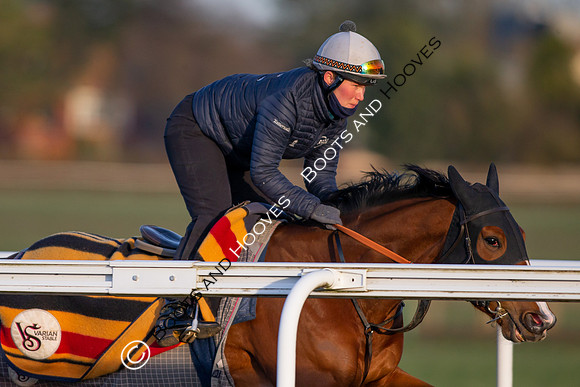 Newmarket Gallops