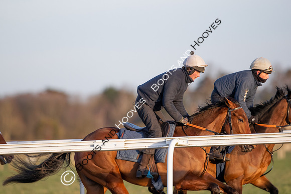 Newmarket Gallops