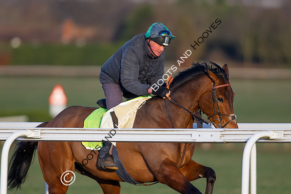 Newmarket Gallops