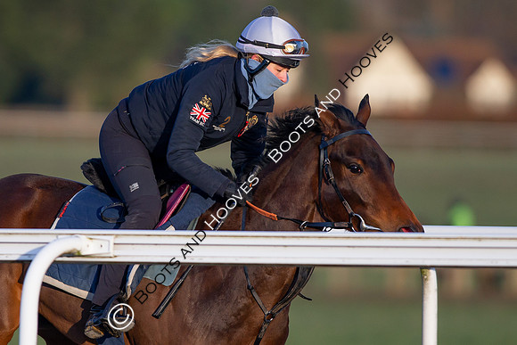 Newmarket Gallops