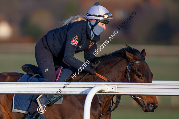 Newmarket Gallops
