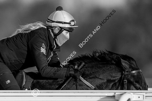Newmarket Gallops