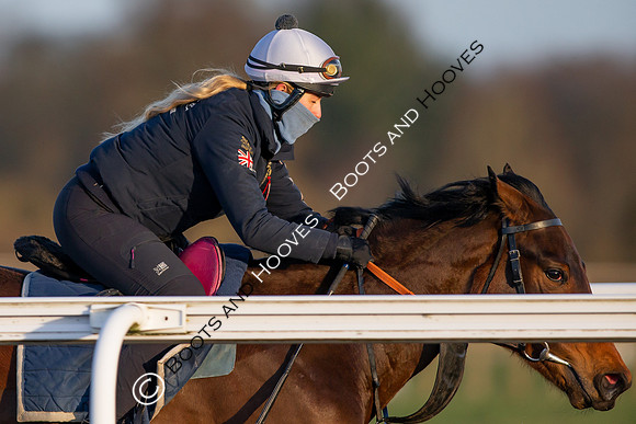 Newmarket Gallops