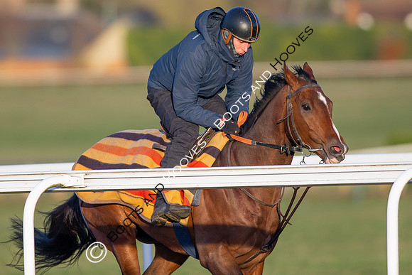 Newmarket Gallops