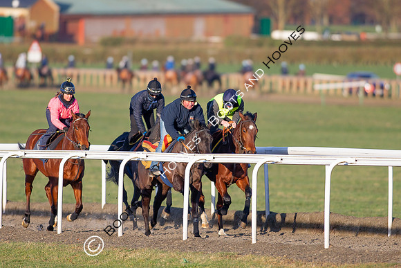 Newmarket Gallops