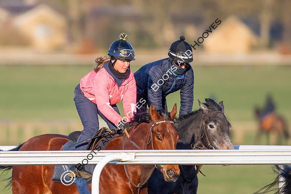 Newmarket Gallops