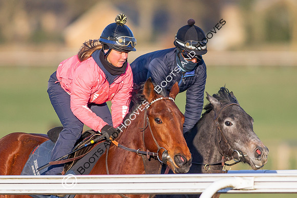 Newmarket Gallops