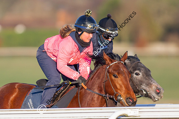 Newmarket Gallops