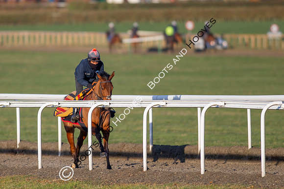 Newmarket Gallops