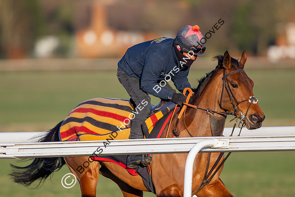 Newmarket Gallops