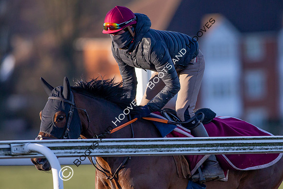 Newmarket Gallops